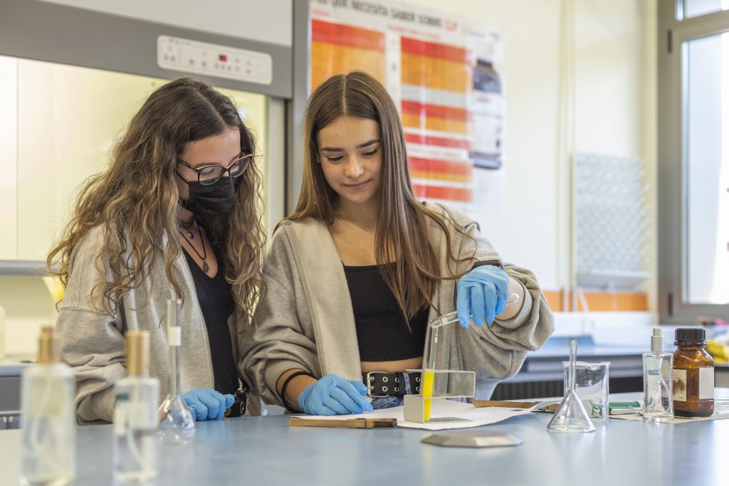 Fisica y Quimica IES Delhuyar (2)