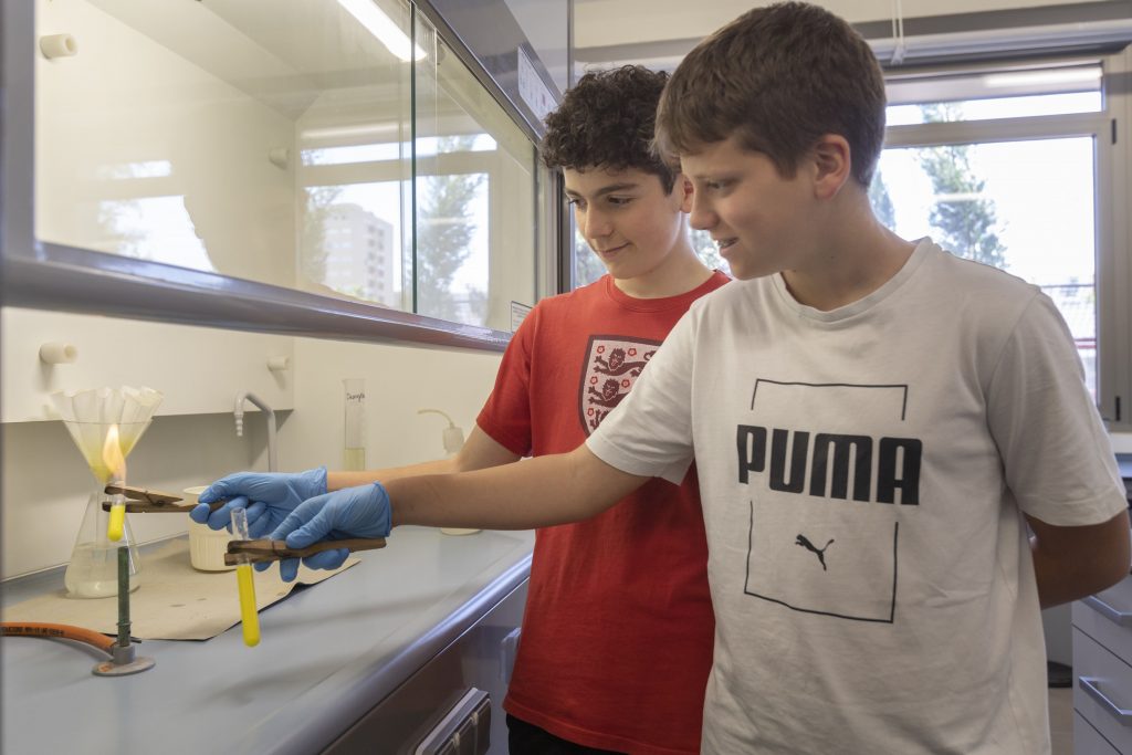 Fisica y Quimica IES Delhuyar (4)