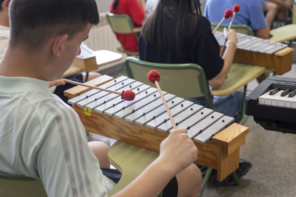 Música IES Delhuyar (10)
