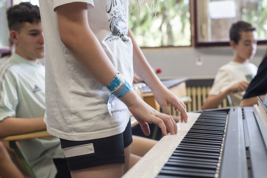 Música IES Delhuyar (8)