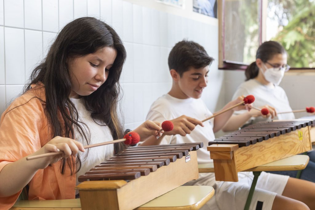 Música IES Delhuyar (9)