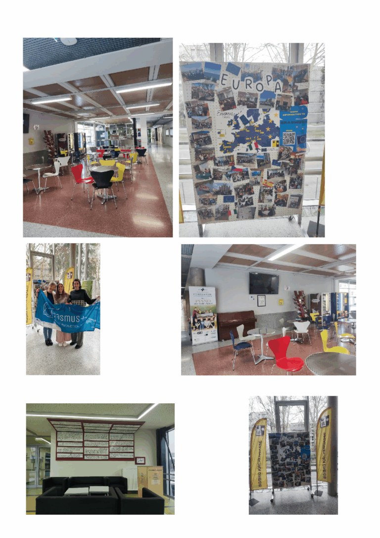 5Experiencia Job Shadowing Elisa Villa Guzmán-Moliner-002